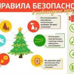 Фотодокумент 